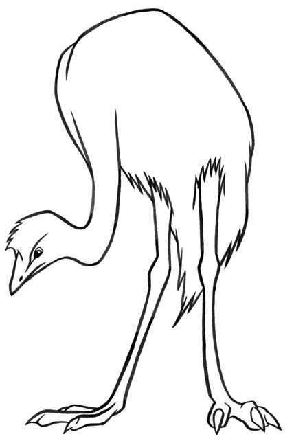 Bird coloring pages