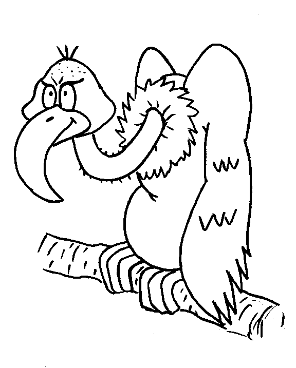 Bird coloring pages