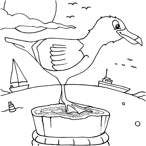 Bird coloring pages