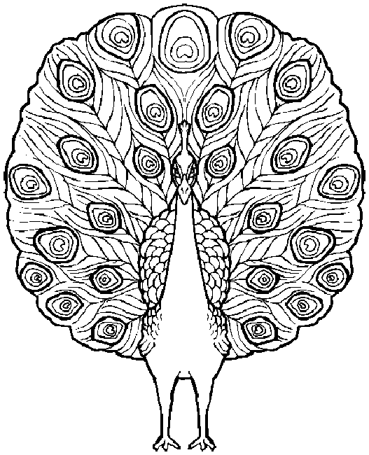 Bird coloring pages