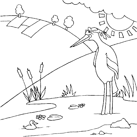 Bird coloring pages