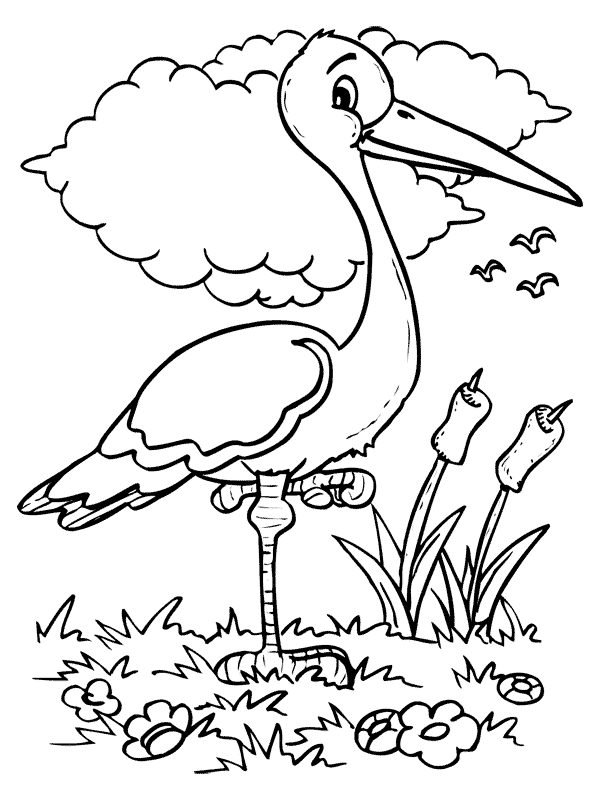 Bird coloring pages