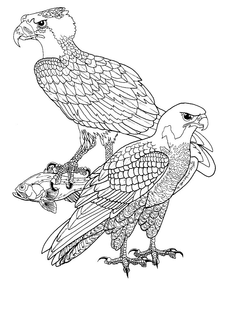 Bird coloring pages