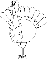 Bird coloring pages