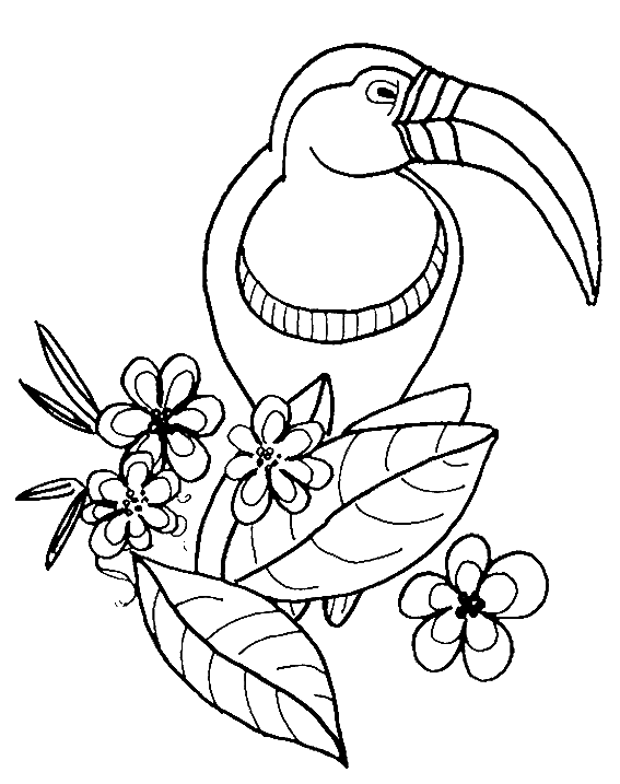 Bird coloring pages