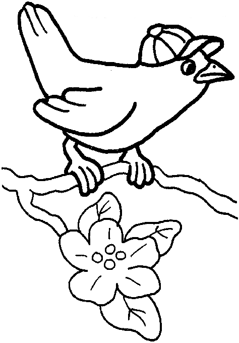 Bird coloring pages