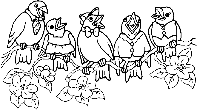 Bird coloring pages