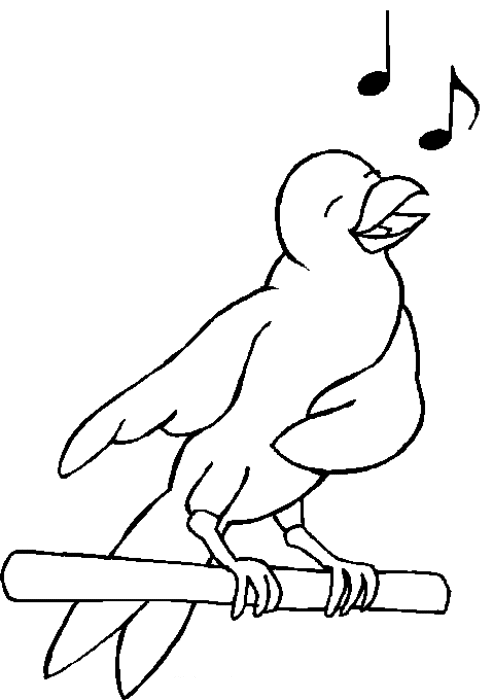 Bird coloring pages