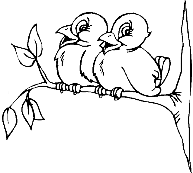 Bird coloring pages