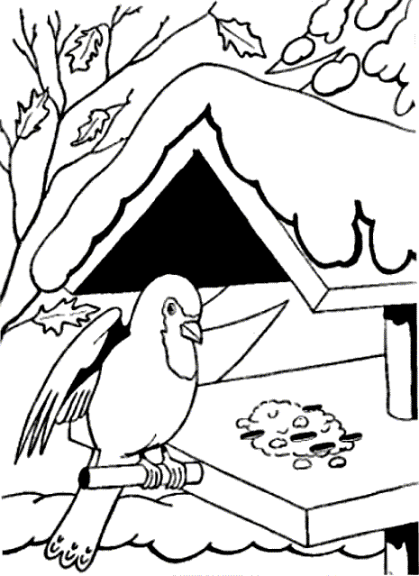 Bird coloring pages