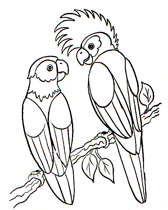 Bird coloring pages