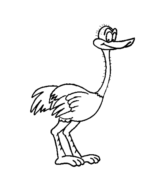 Bird coloring pages