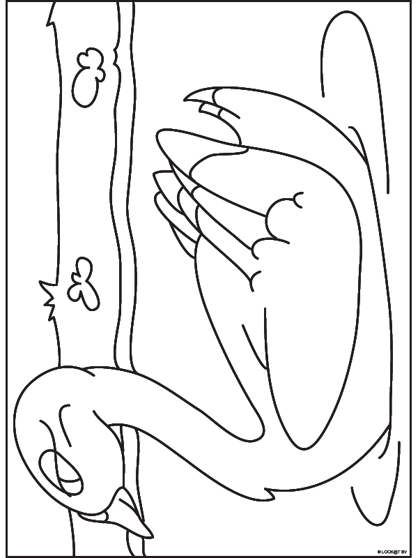 Bird coloring pages