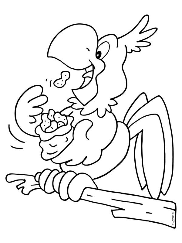 Bird coloring pages