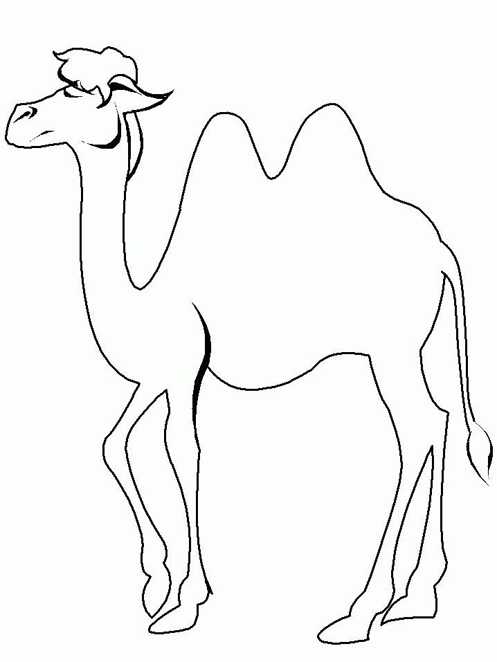 Camel coloring pages