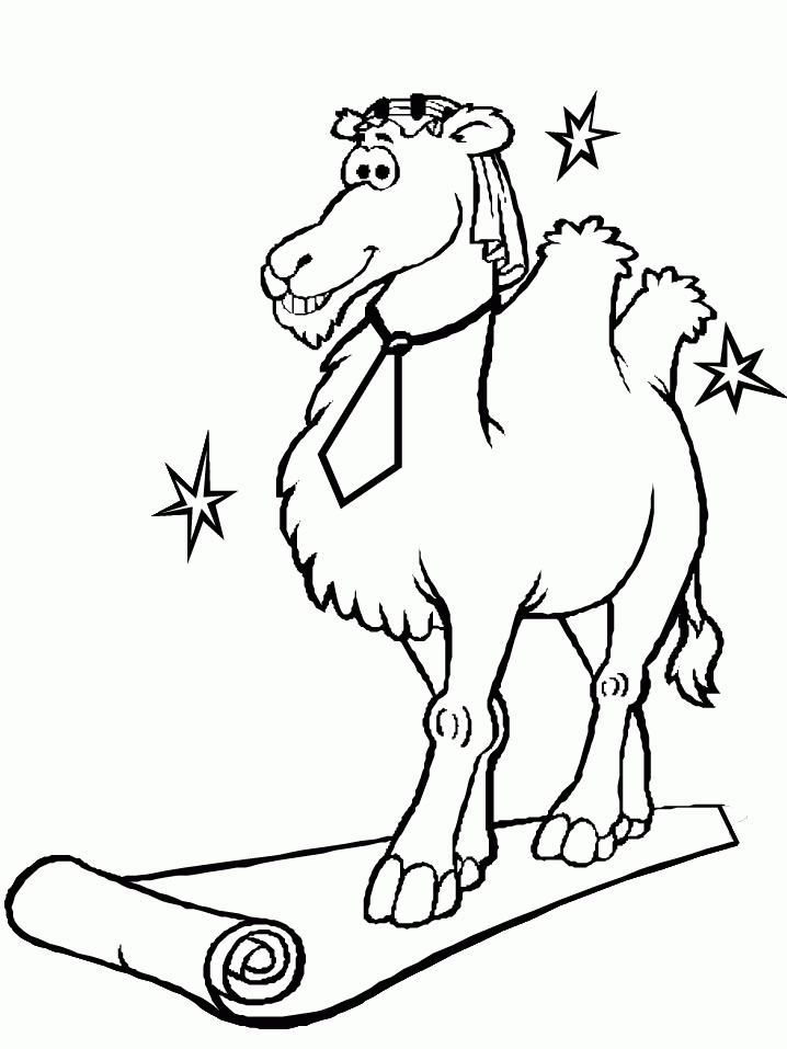 Camel coloring pages