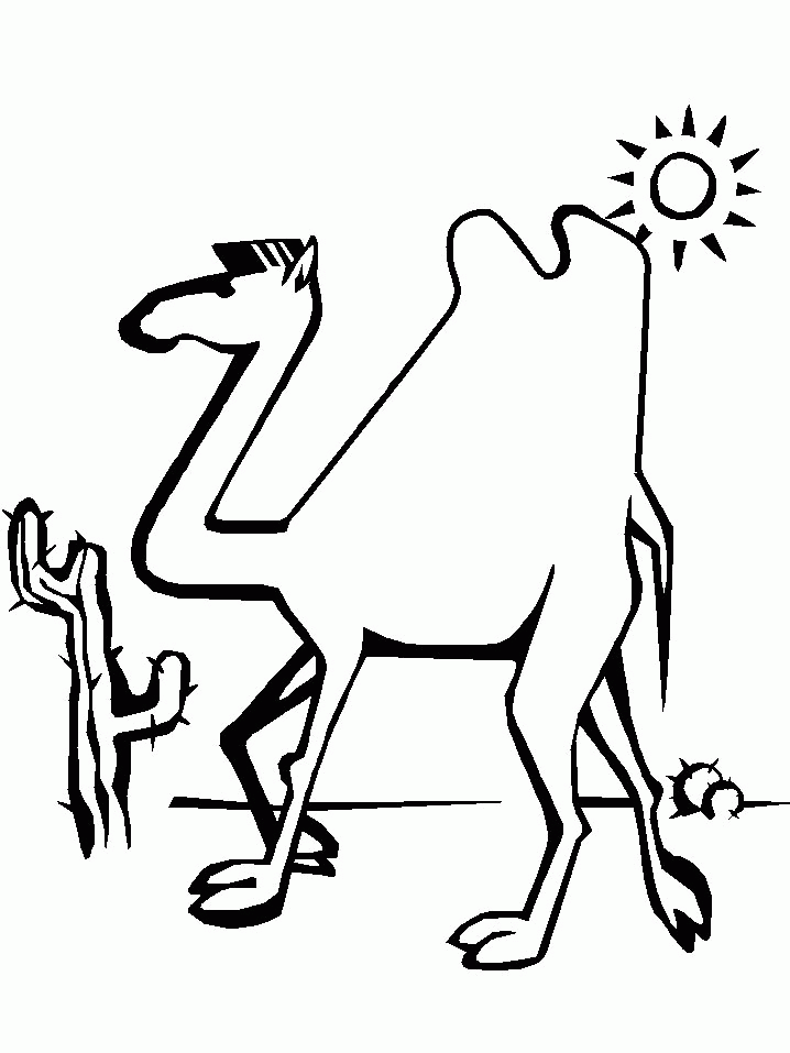 Camel coloring pages