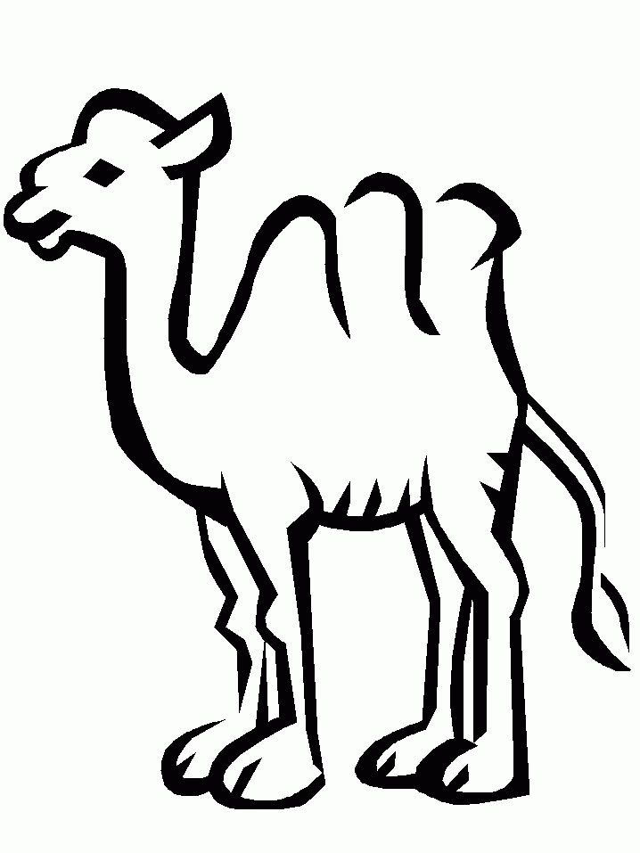 Camel coloring pages