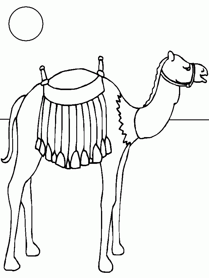 Camel coloring pages