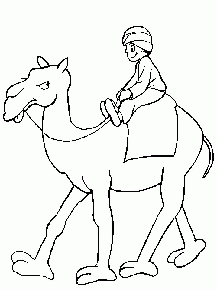 Camel coloring pages