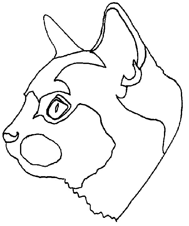 Cat coloring pages