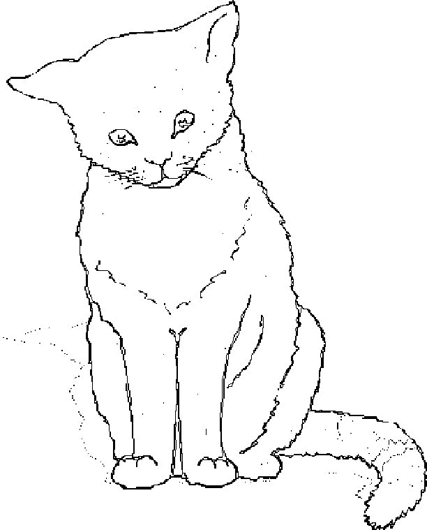 Cat coloring pages