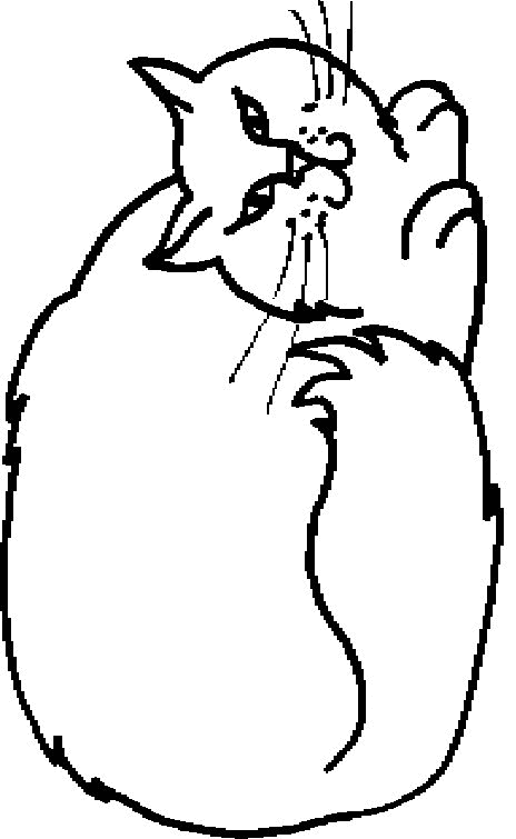 Cat coloring pages