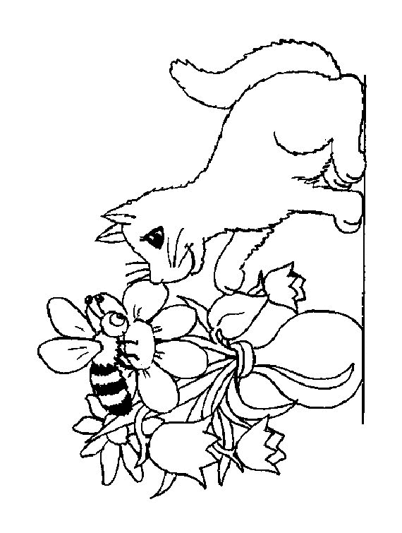 Cat coloring pages