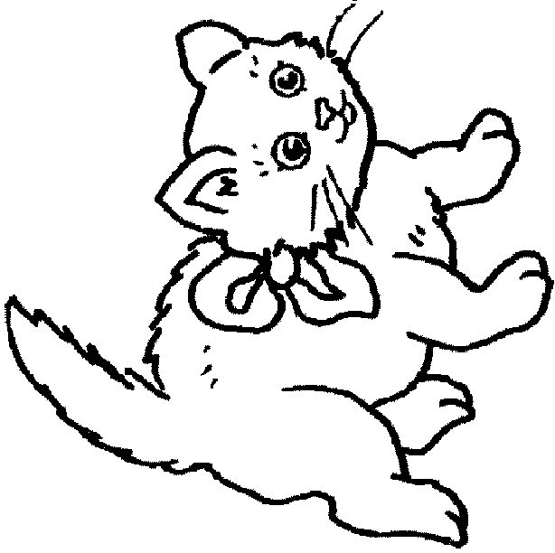 Cat coloring pages