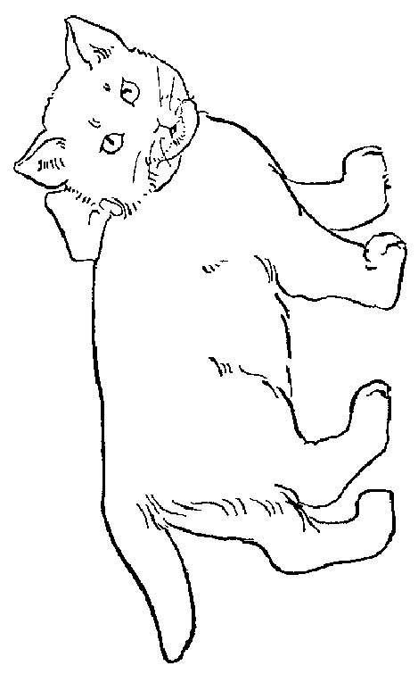 Cat coloring pages