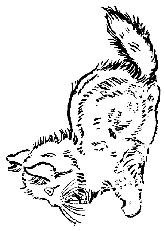 Cat coloring pages