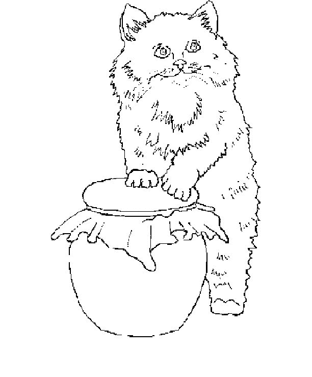 Cat coloring pages