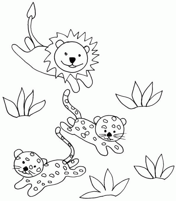 Cheetah coloring pages