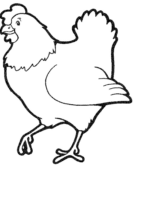 Chicken coloring pages