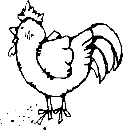 Chicken coloring pages