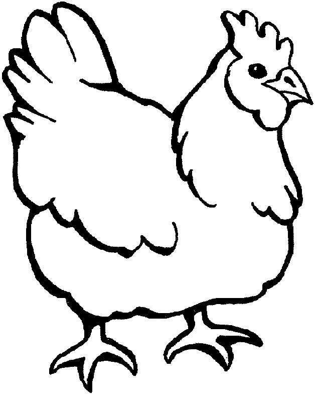 Chicken coloring pages