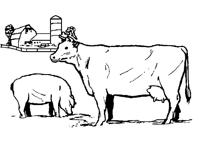 Cow coloring pages