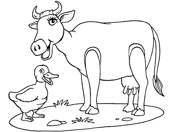 Cow coloring pages