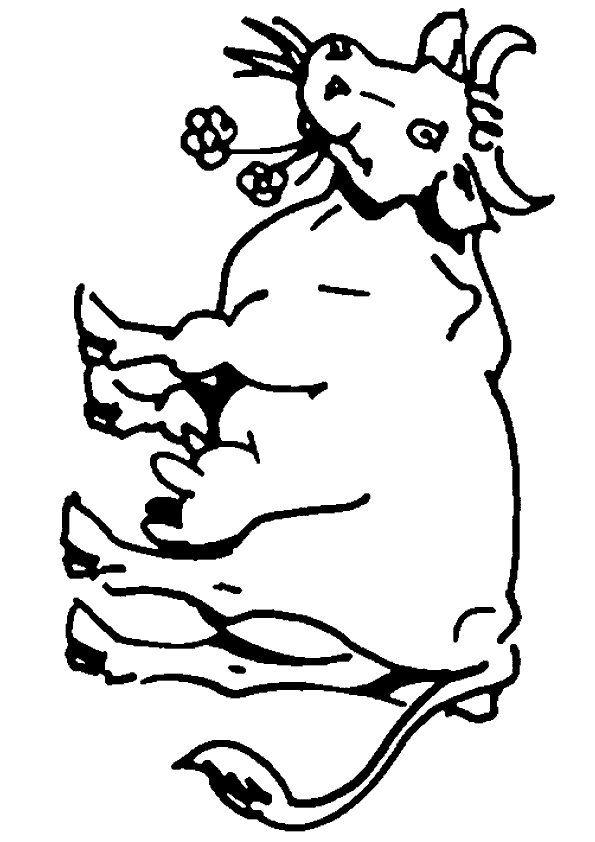 Cow coloring pages