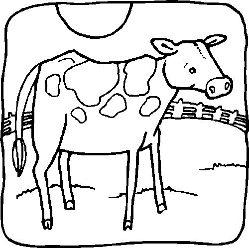 Cow coloring pages