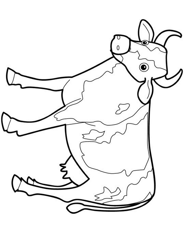 Cow coloring pages