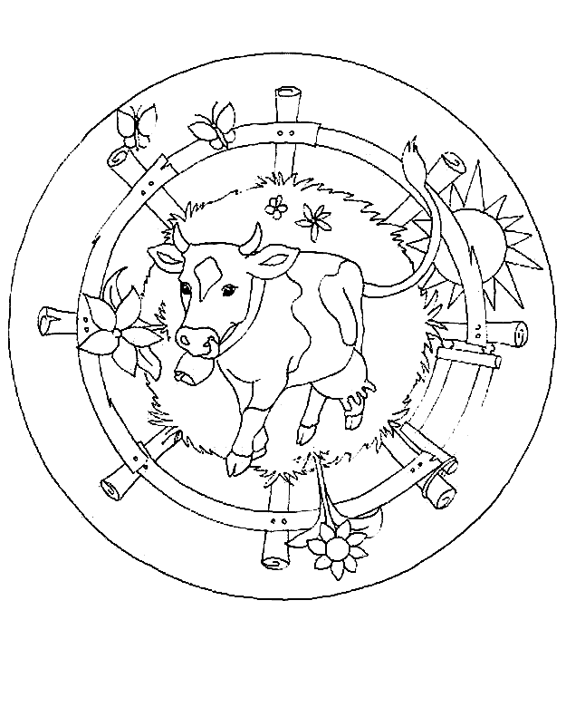 Cow coloring pages