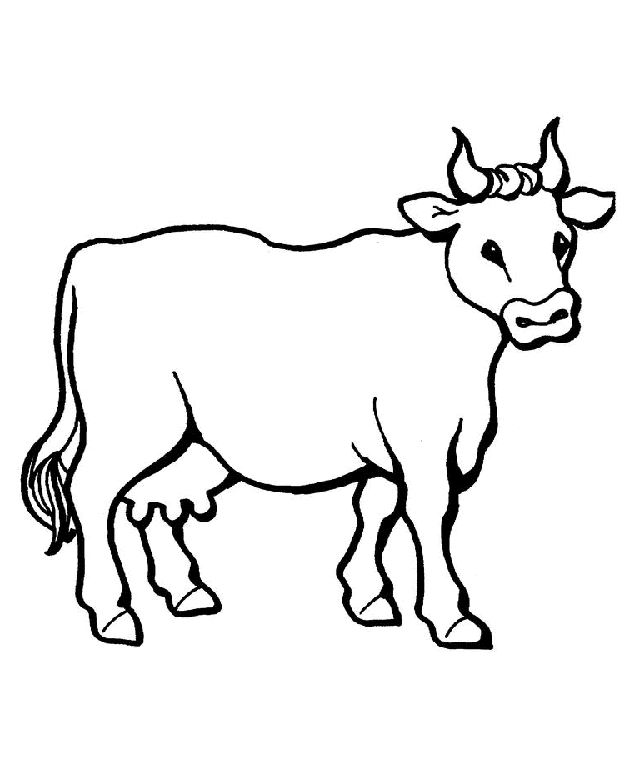 Cow coloring pages