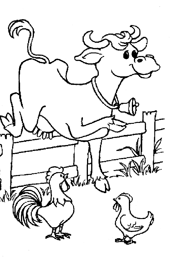 Cow coloring pages