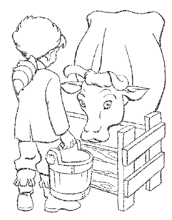 Cow coloring pages