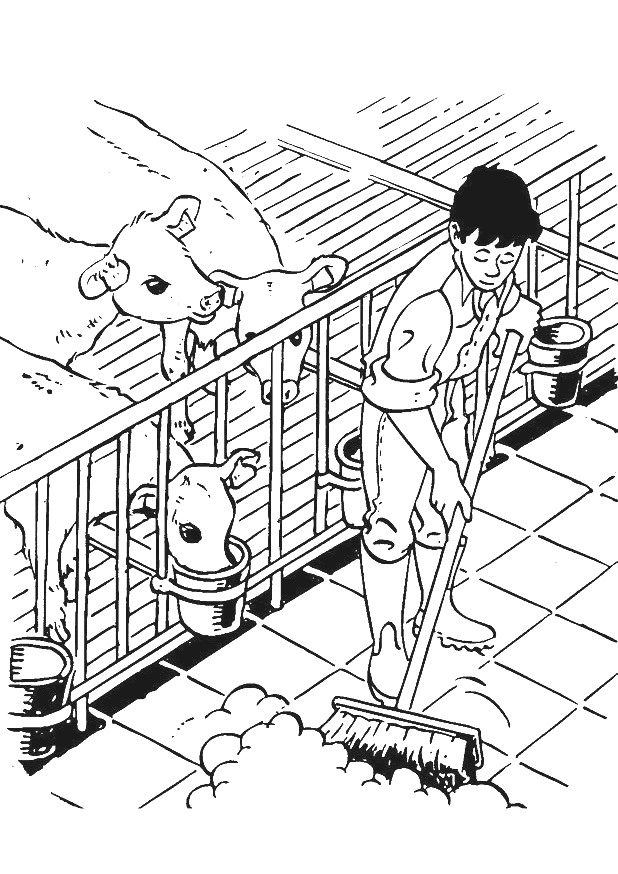 Cow coloring pages