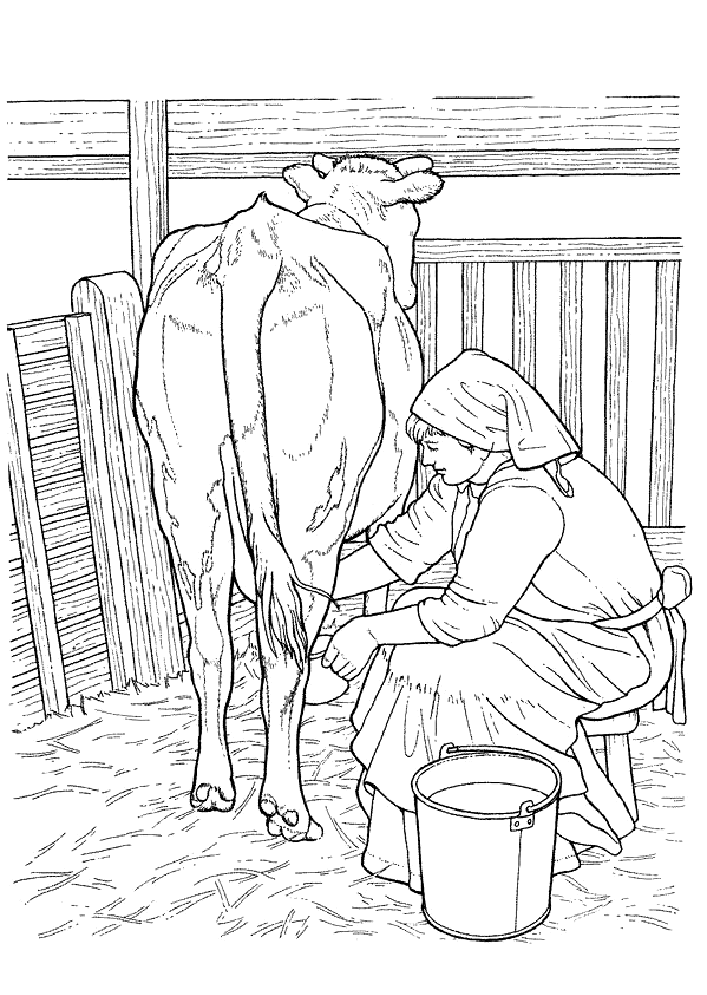 Cow coloring pages