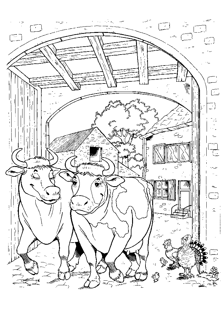 Cow coloring pages