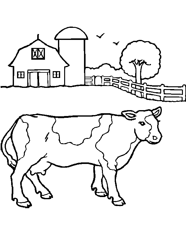 Cow coloring pages