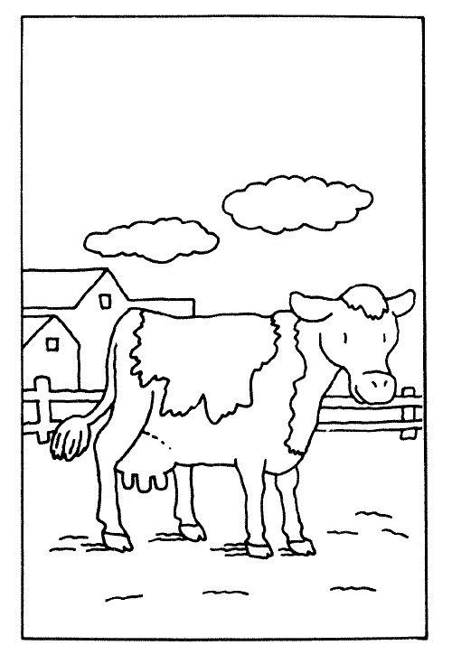 Cow coloring pages